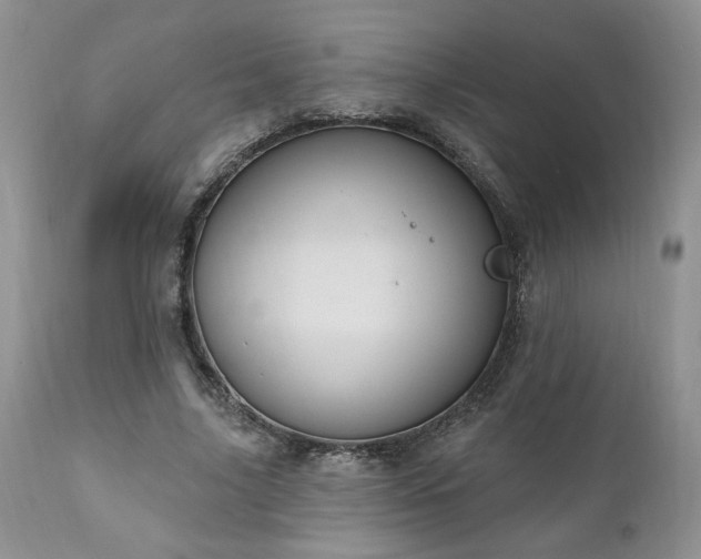 X0000111040635200906251403