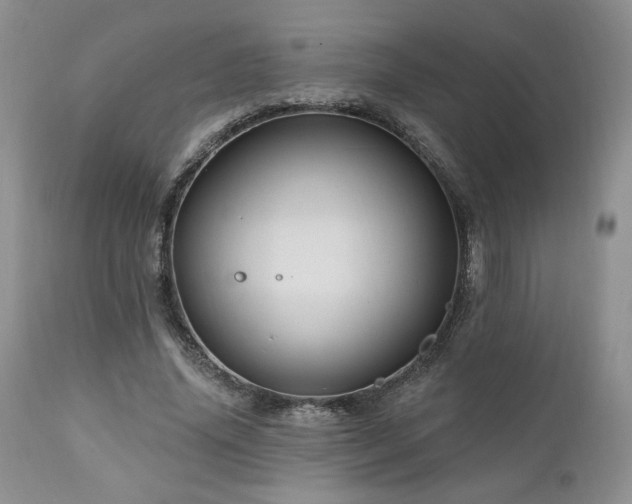 X0000111040636200906251403