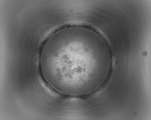 X0000111040637200906251403