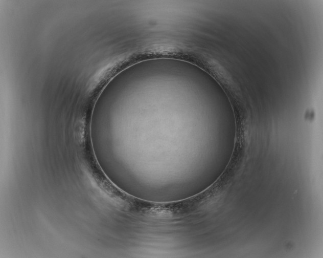 X0000111040640200906251403