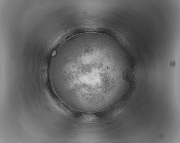 X0000111040642200906251403