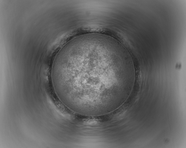 X0000111040643200906251403