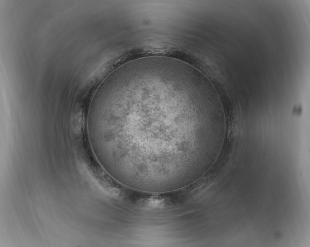 X0000111040647200906251403