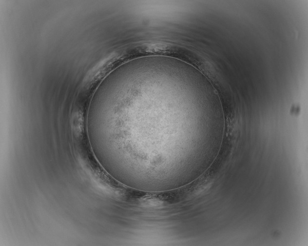 X0000111040648200906251403
