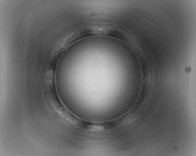 X0000111040649200906251403