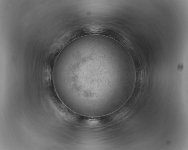 X0000111040651200906251403