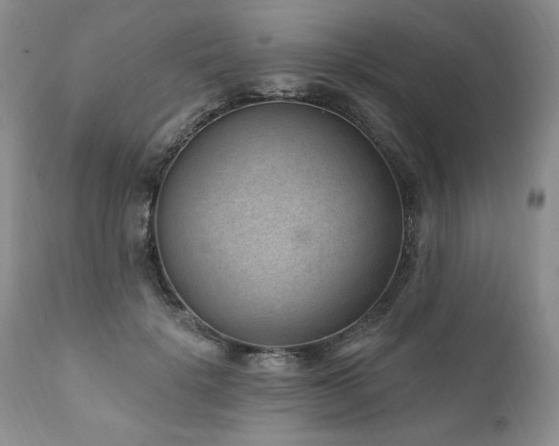 X0000111040652200906251403