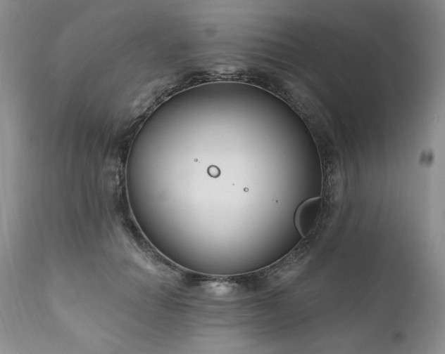 X0000111040654200906251403