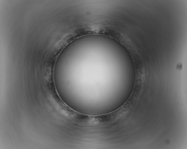 X0000111040656200906251403