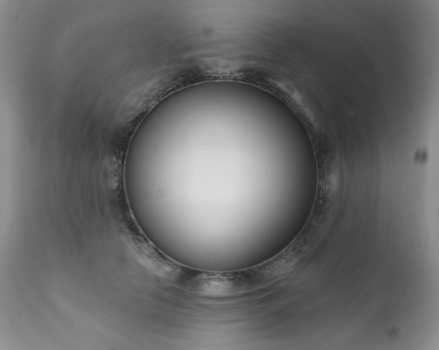 X0000111040658200906251403