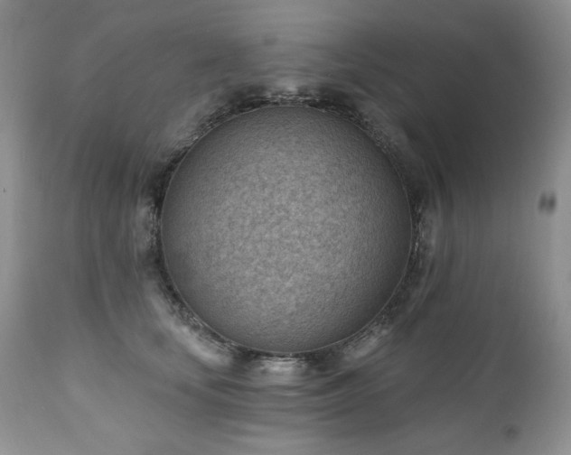 X0000111040659200906251403