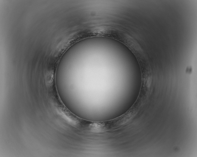 X0000111040660200906251403
