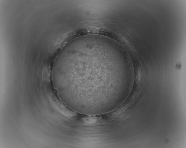 X0000111040661200906251403