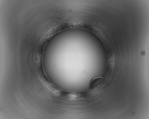 X0000111040662200906251403