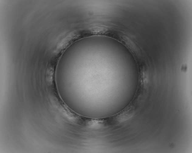 X0000111040664200906251403