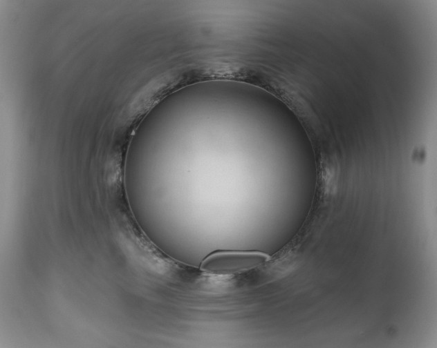 X0000111040665200906251403
