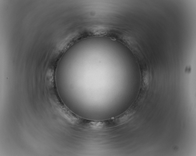 X0000111040667200906251403
