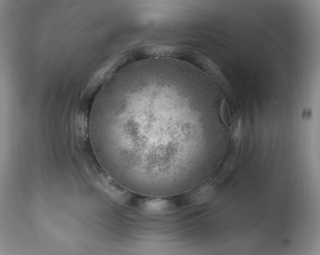 X0000111040669200906251403
