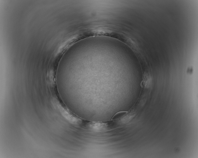 X0000111040670200906251403