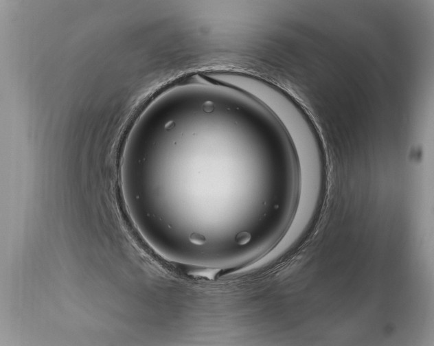X0000111040673200906251402