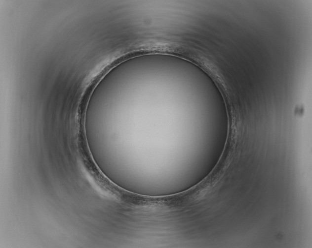 X0000111040674200906251402