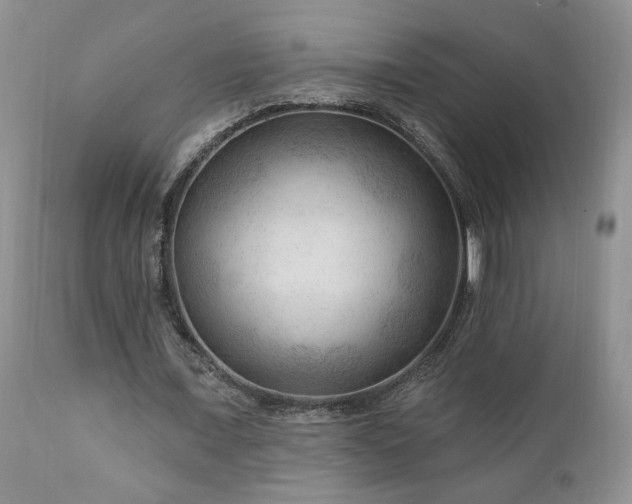 X0000111040675200906251402