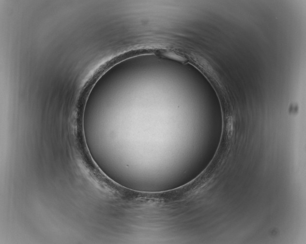 X0000111040676200906251402