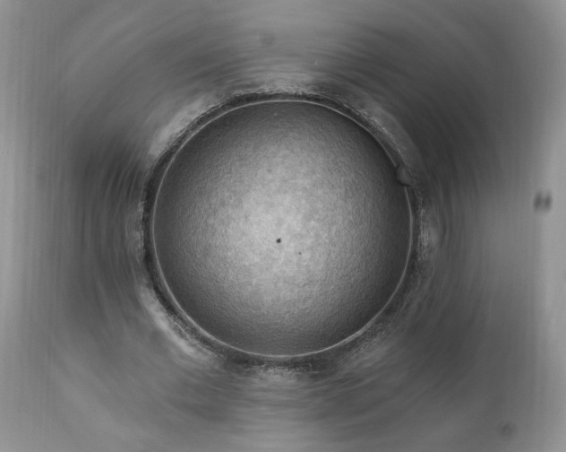 X0000111040677200906251402