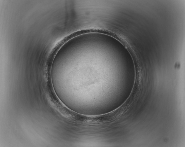 X0000111040680200906251402