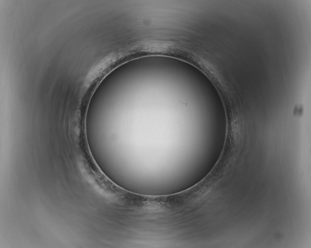 X0000111040682200906251402