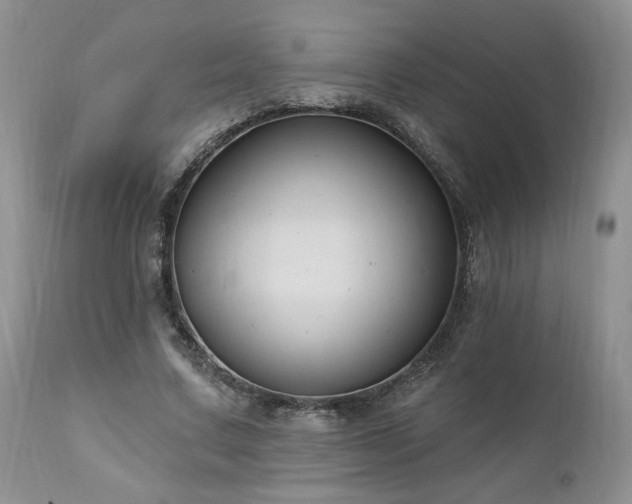 X0000111040683200906251402