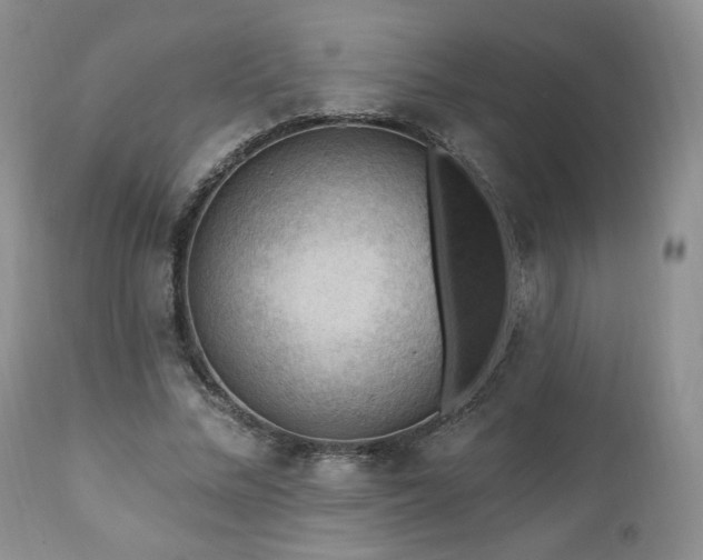 X0000111040684200906251402
