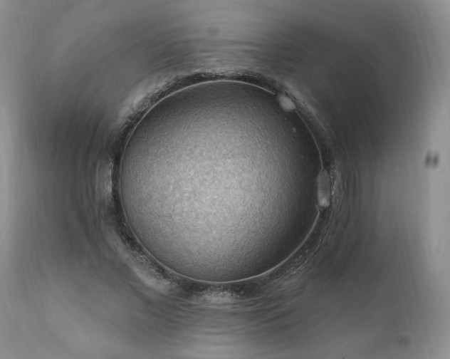 X0000111040685200906251402