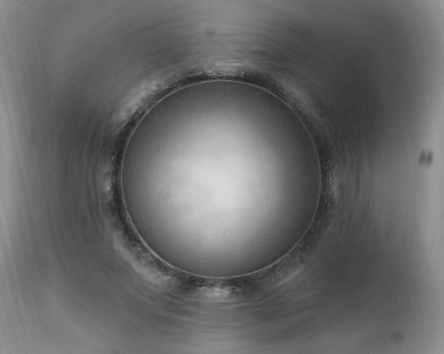 X0000111040687200906251402