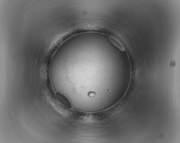 X0000111040688200906251402