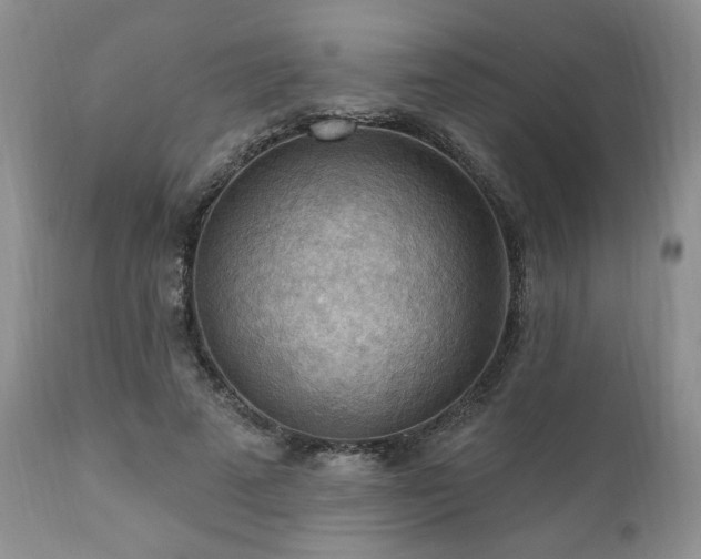 X0000111040689200906251402