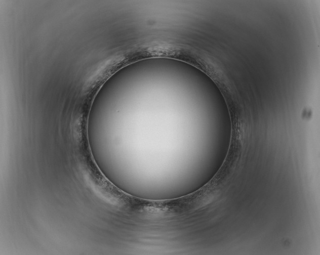 X0000111040690200906251402