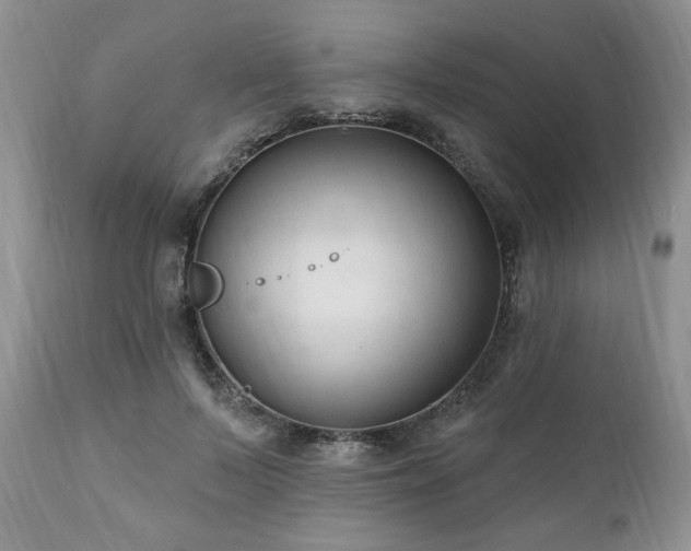 X0000111040695200906251402