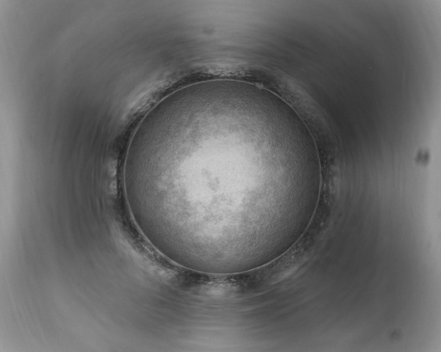 X0000111040696200906251402