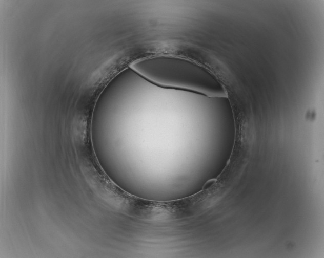 X0000111040697200906251402