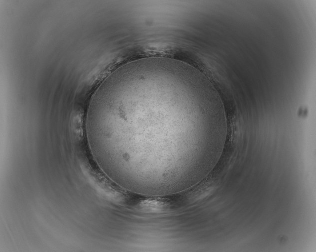 X0000111040699200906251402