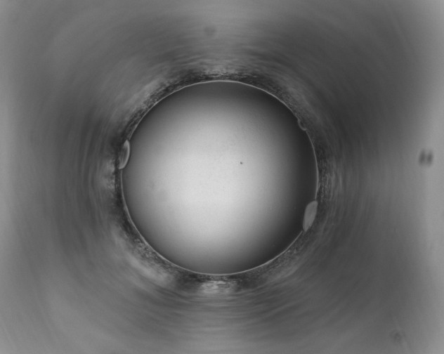 X0000111040700200906251402