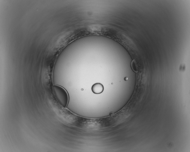 X0000111040702200906251402