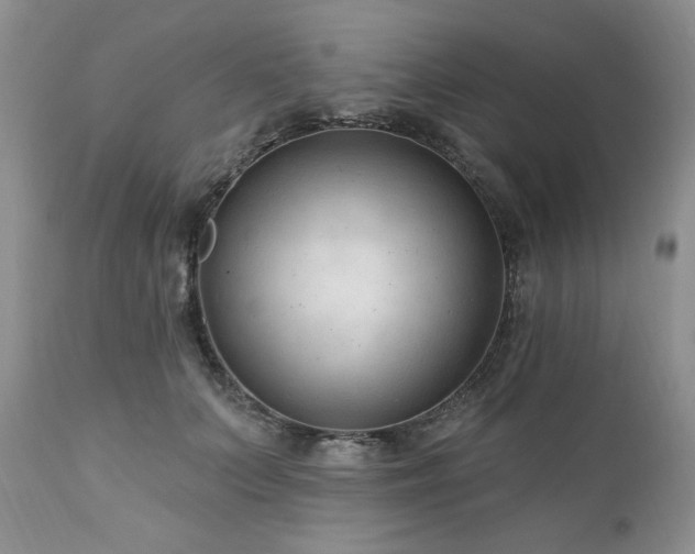 X0000111040703200906251402