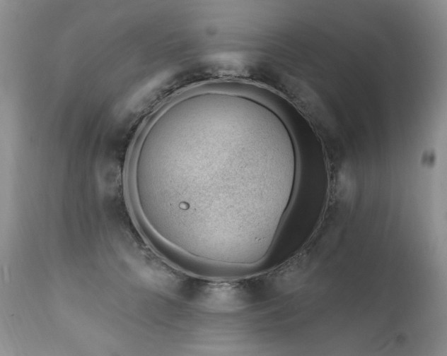X0000111040704200906251402