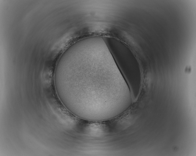 X0000111040708200906251402