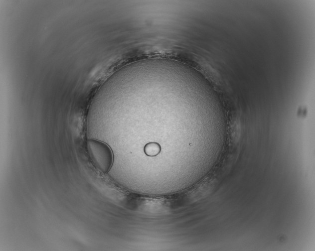 X0000111040709200906251402