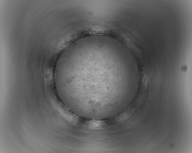 X0000111040711200906251402