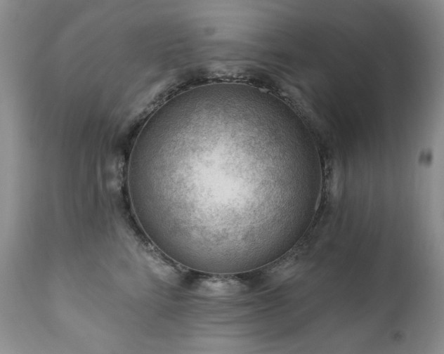 X0000111040712200906251402