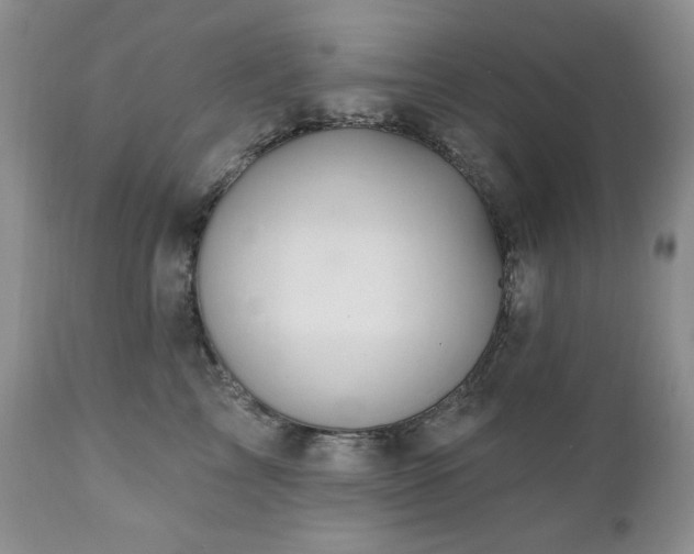 X0000111040713200906251402